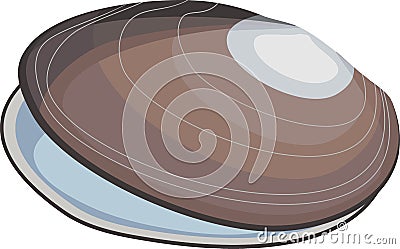 Shell of mussel mollusk Vector Illustration